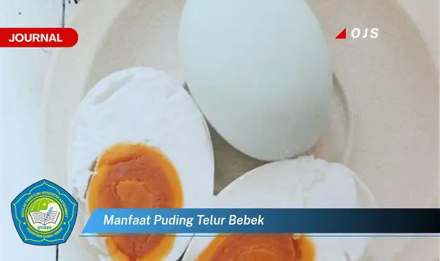 manfaat puding telur bebek