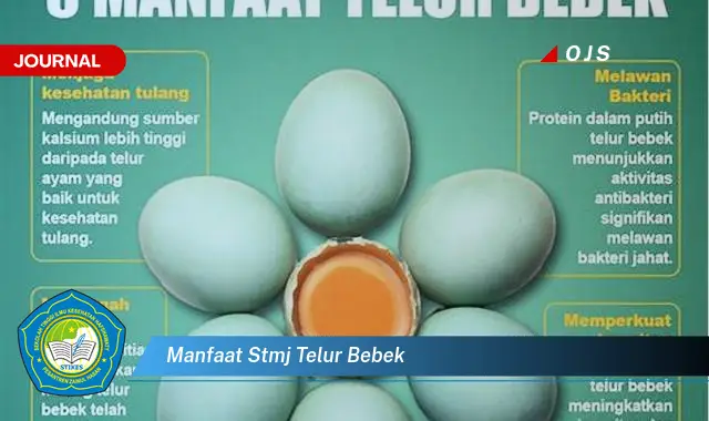 manfaat stmj telur bebek manfaat stmj telur bebek