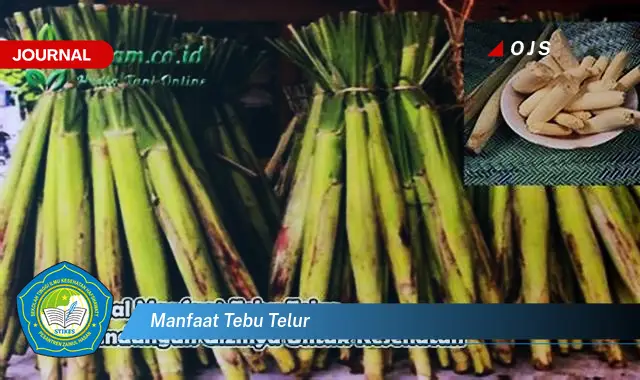 manfaat tebu telur