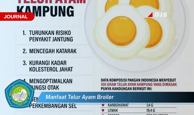 manfaat telur ayam broiler