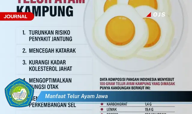 manfaat telur ayam jawa manfaat telur ayam jawa