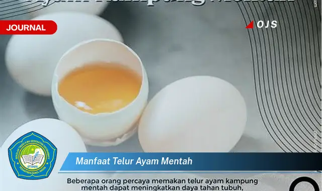 manfaat telur ayam mentah manfaat telur ayam mentah