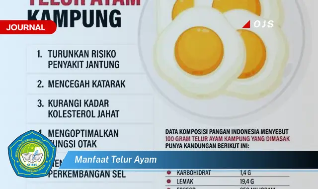 manfaat telur ayam manfaat telur ayam
