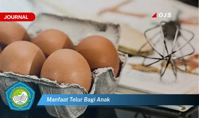 manfaat telur bagi anak manfaat telur bagi anak