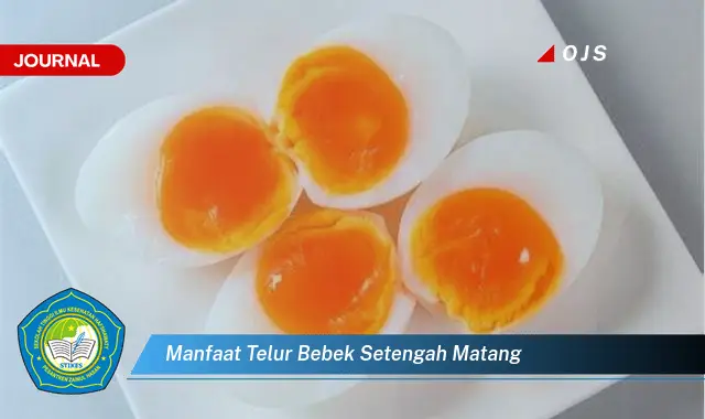 manfaat telur bebek setengah matang