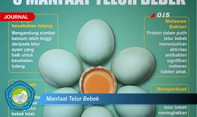 manfaat telur bebek