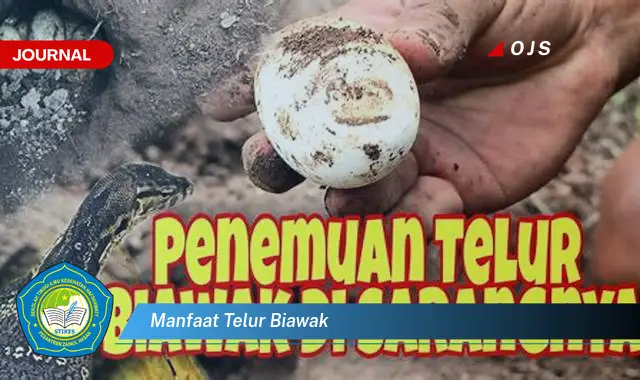 manfaat telur biawak