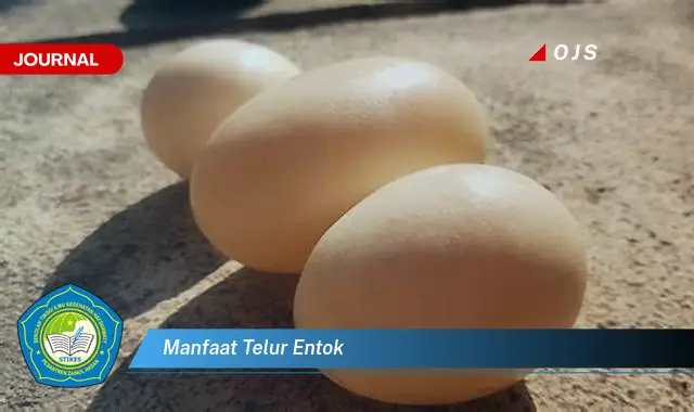 manfaat telur entok manfaat telur entok