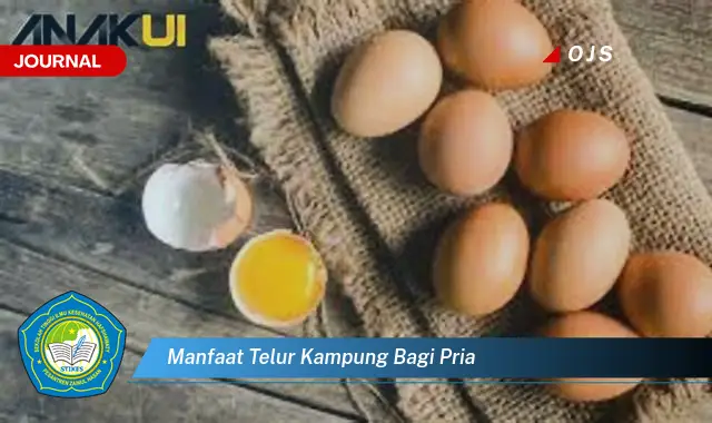 manfaat telur kampung bagi pria manfaat telur kampung bagi pria