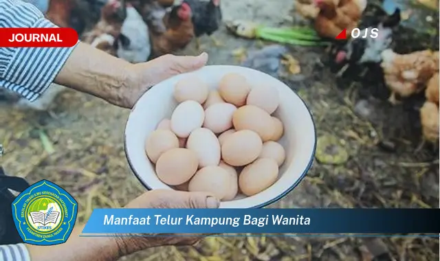 manfaat telur kampung bagi wanita