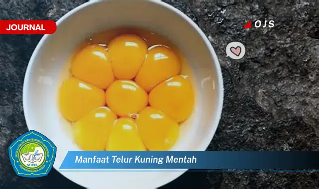 manfaat telur kuning mentah