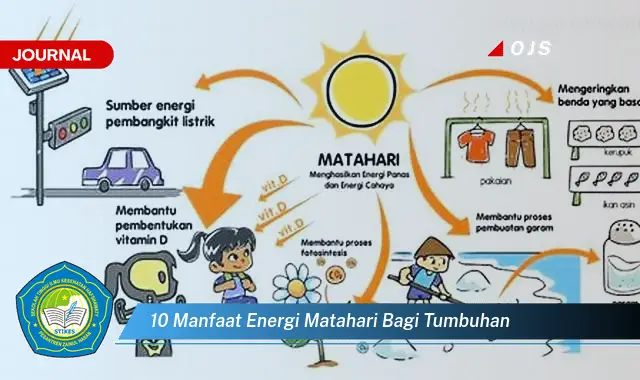 10 manfaat energi matahari bagi tumbuhan