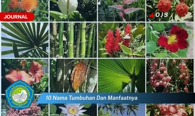 10 nama tumbuhan dan manfaatnya 10 nama tumbuhan dan manfaatnya