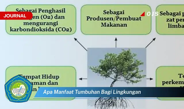 apa manfaat tumbuhan bagi lingkungan