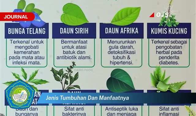 jenis tumbuhan dan manfaatnya jenis tumbuhan dan manfaatnya