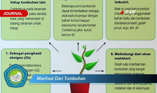 manfaat dari tumbuhan