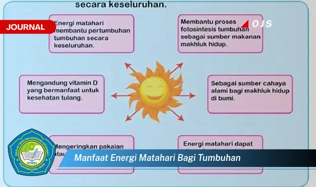 manfaat energi matahari bagi tumbuhan