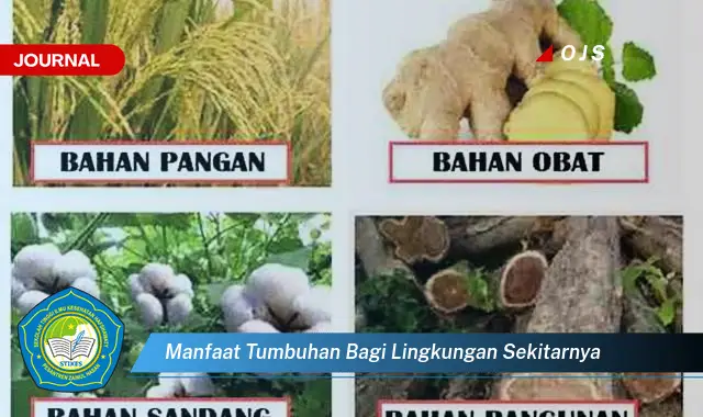 manfaat tumbuhan bagi lingkungan sekitarnya