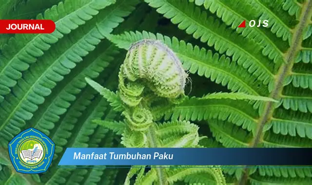 manfaat tumbuhan paku