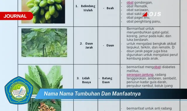 nama nama tumbuhan dan manfaatnya