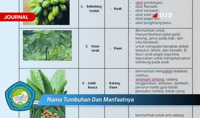nama tumbuhan dan manfaatnya
