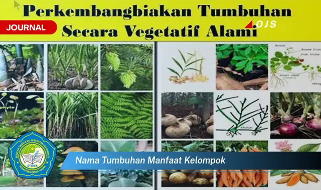 nama tumbuhan manfaat kelompok