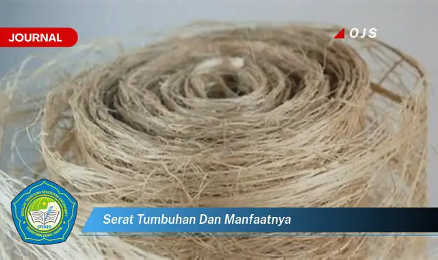 Intip 6 Manfaat Serat Tumbuhan yang Bikin Kamu Penasaran - E-Journal