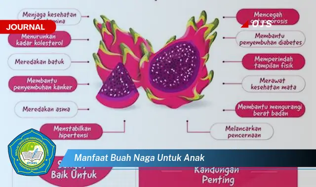 manfaat buah naga untuk anak