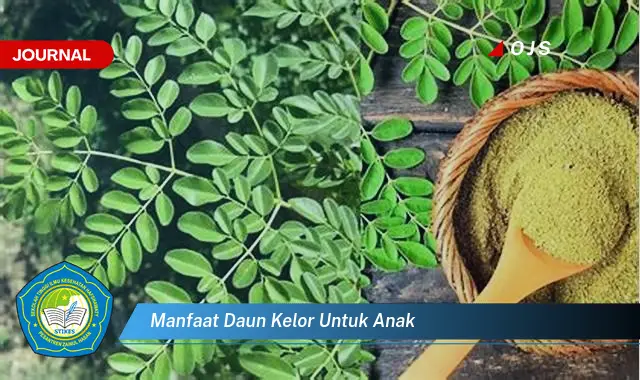 manfaat daun kelor untuk anak