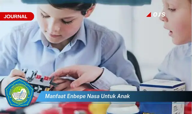 manfaat enbepe nasa untuk anak