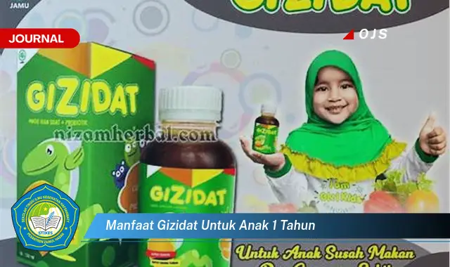 manfaat gizidat untuk anak 1 tahun