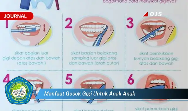 manfaat gosok gigi untuk anak anak manfaat gosok gigi untuk anak anak