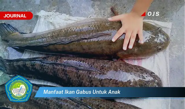 manfaat ikan gabus untuk anak manfaat ikan gabus untuk anak