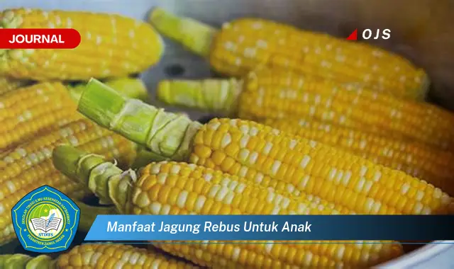 manfaat jagung rebus untuk anak