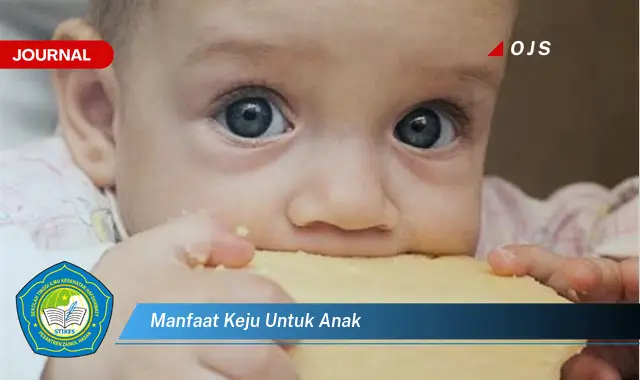 manfaat keju untuk anak