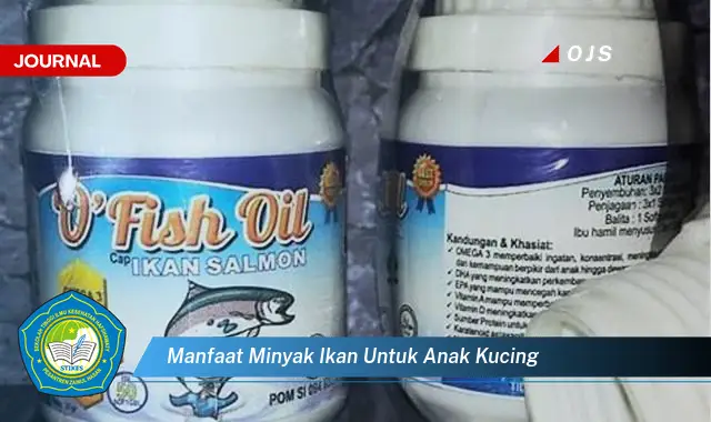 manfaat minyak ikan untuk anak kucing