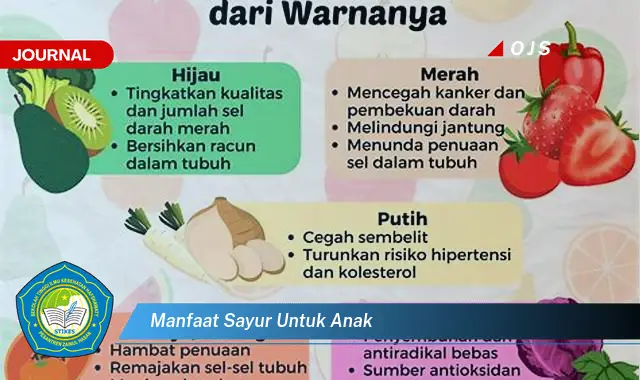 manfaat sayur untuk anak