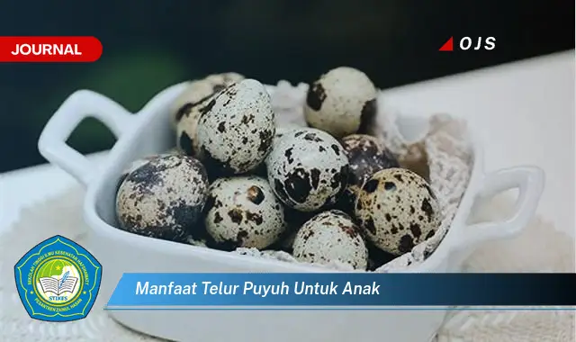 manfaat telur puyuh untuk anak manfaat telur puyuh untuk anak