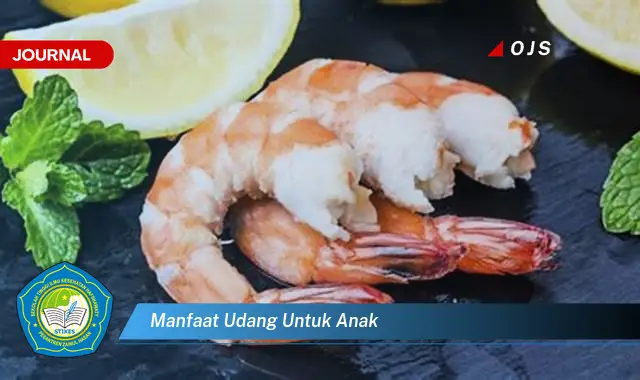 manfaat udang untuk anak