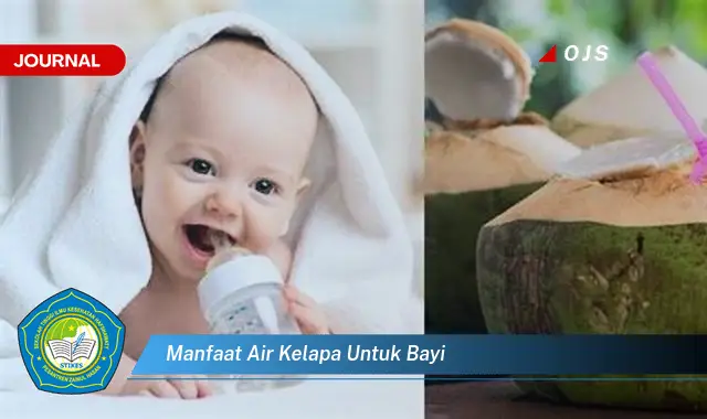 manfaat air kelapa untuk bayi