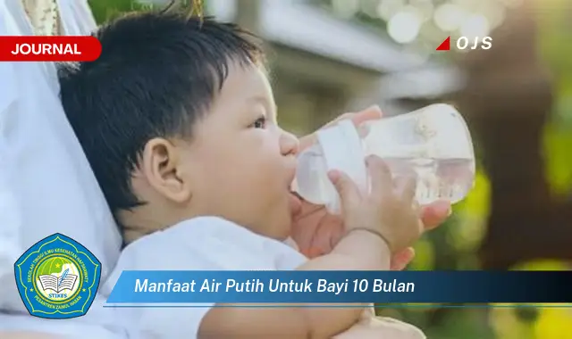 manfaat air putih untuk bayi 10 bulan