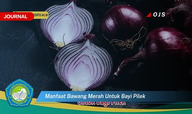 manfaat bawang merah untuk bayi pilek manfaat bawang merah untuk bayi pilek