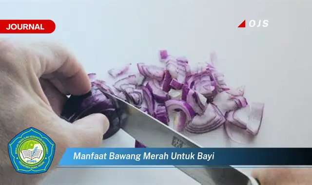 manfaat bawang merah untuk bayi