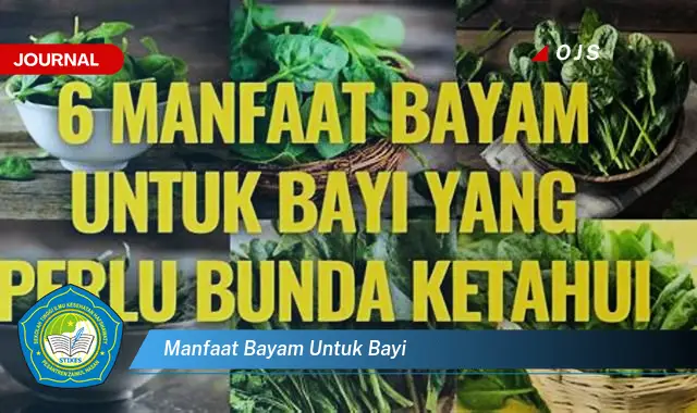 manfaat bayam untuk bayi manfaat bayam untuk bayi