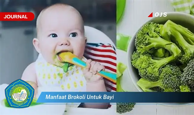 manfaat brokoli untuk bayi