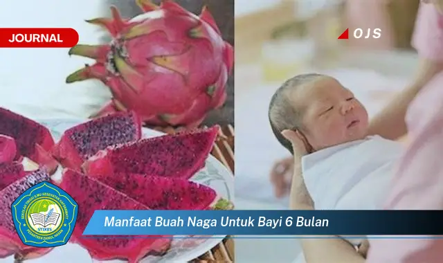 manfaat buah naga untuk bayi 6 bulan