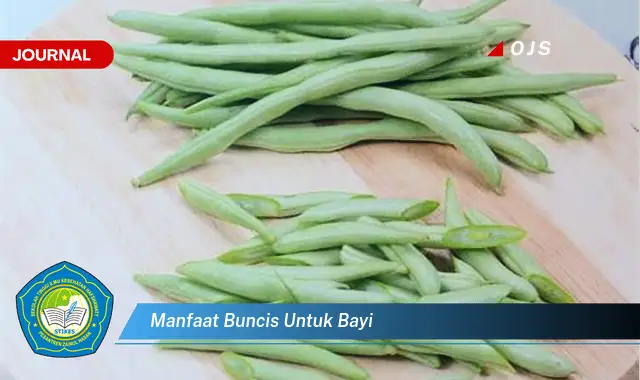 manfaat buncis untuk bayi