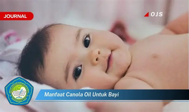 manfaat canola oil untuk bayi