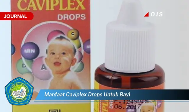 manfaat caviplex drops untuk bayi manfaat caviplex drops untuk bayi