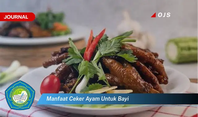 manfaat ceker ayam untuk bayi